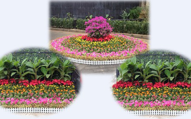 振興華龍人喜迎中秋、國慶雙節(jié)